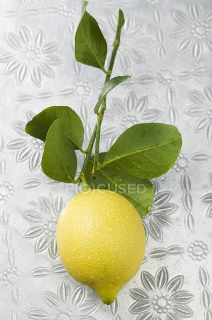 Лимон на стебле с листьями — стоковое фото