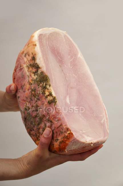 Human Hands holding grilled ham — Stock Photo