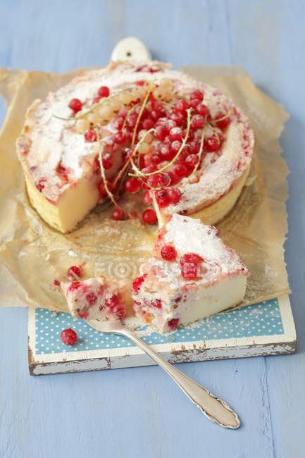 Cheesecake al ribes rosso su carta — Foto stock