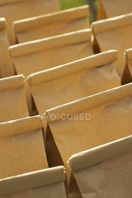 Vista de primer plano de las filas de bolsas de papel - foto de stock