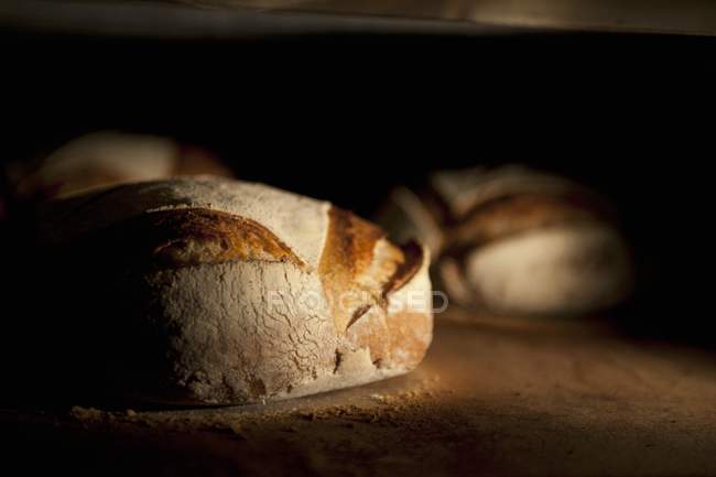 Freshly baked Bread loaves — Stock Photo