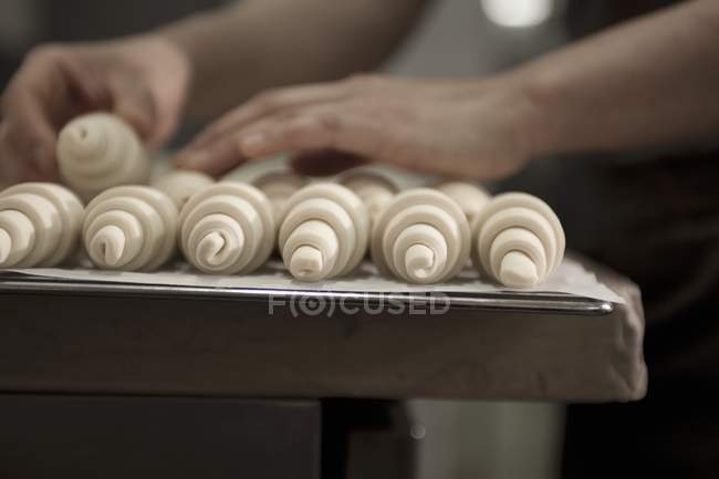 Hands placing unbaked croissants — Stock Photo