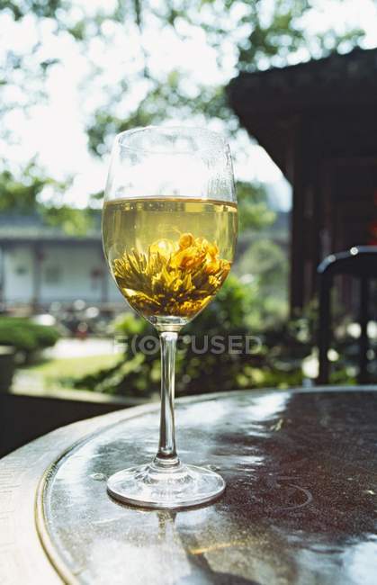 Tea with tea anemone in glass — Stock Photo
