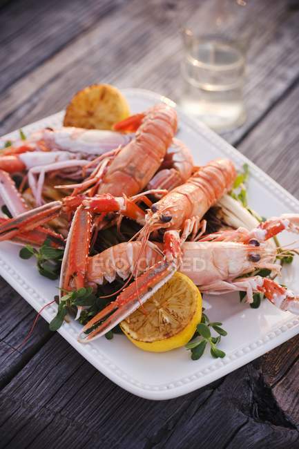 Closeup view of langoustines with lemon on a platter — Stock Photo