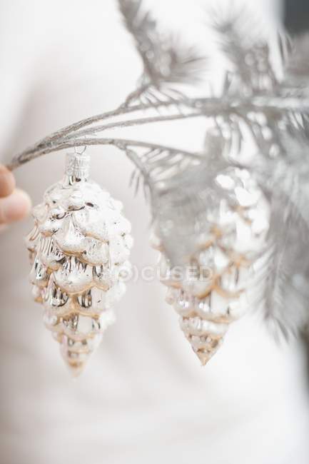 Hand holding silver cones on branch — Stock Photo