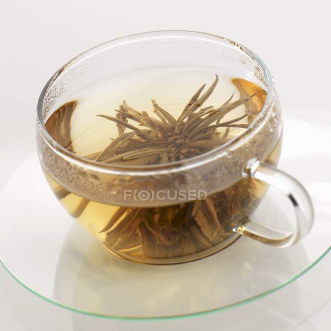 Anémona de té en taza - foto de stock