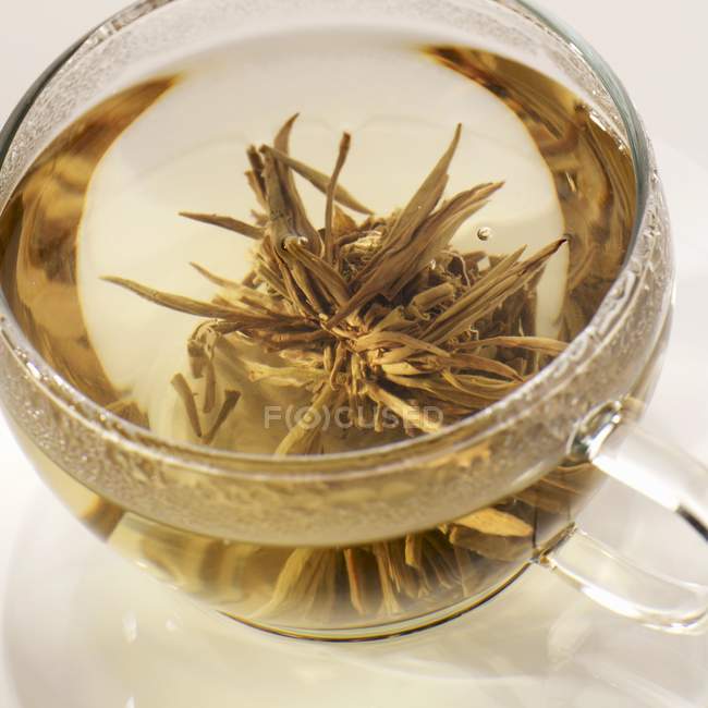 Anémone de thé dans la tasse — Photo de stock