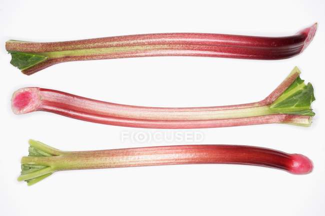 Bâtons de rhubarbe fraîche — Photo de stock