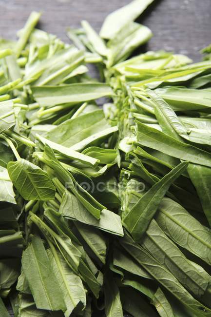 Fresh water spinach — Stock Photo