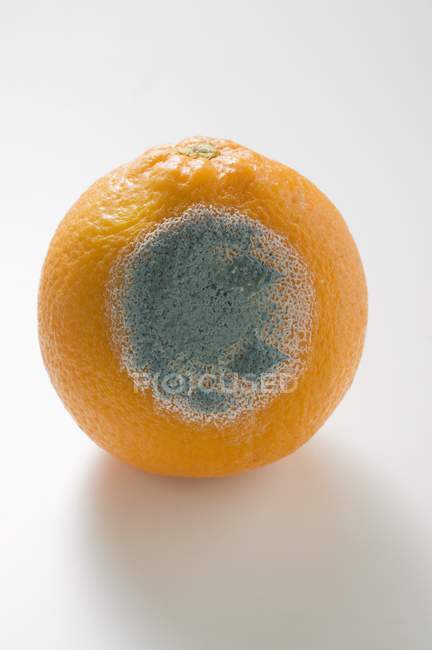 Naranja entero mohoso - foto de stock