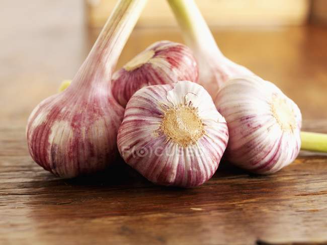 Fresh picked Garlic bulbs — Stock Photo