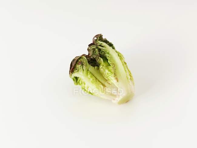 Fresh Lettuce heart — Stock Photo