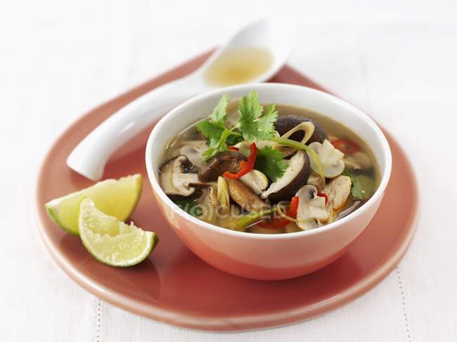 Mushrooms soup with coriander — Stock Photo
