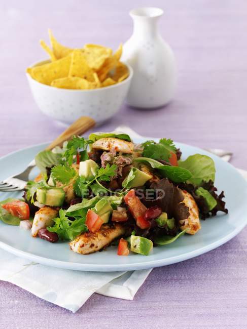 Spicy chicken salad with tortilla chips on blue plate over towel on purple surface — Stock Photo