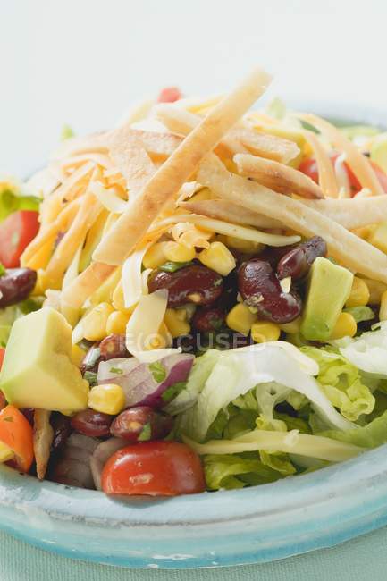 Mexikanischer Salat mit Tortilla-Streifen auf blauem Teller — Stockfoto