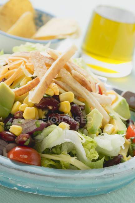 Nahaufnahme von mexikanischem Salat mit Tortilla-Streifen — Stockfoto