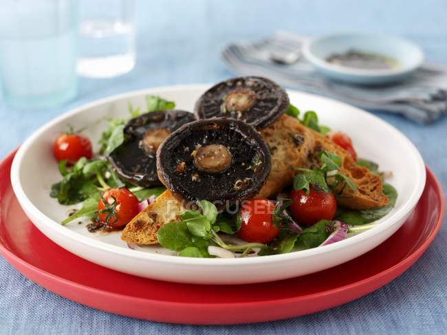 Toast topped with mushrooms and tomatoes  on white plate — Stock Photo