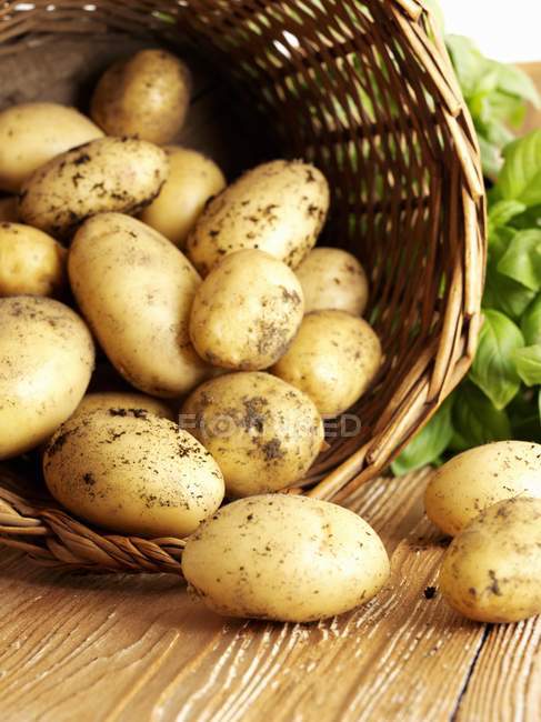 Potatoes falling out of basket — Stock Photo