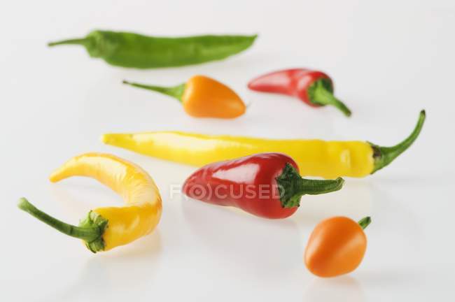 Colorful chilli peppers — Stock Photo