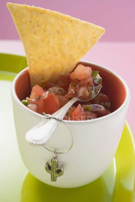 Salsa de tomate em panela com colher e nacho sobre prato verde — Fotografia de Stock