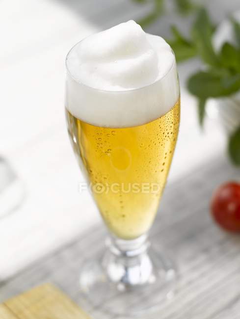 Vidro de cerveja com espuma — Fotografia de Stock