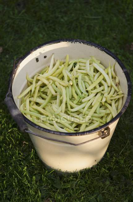 Fresh yellow beans in bucket — Stock Photo