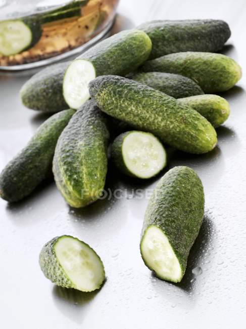 Fresh Gherkins for pickling — Stock Photo