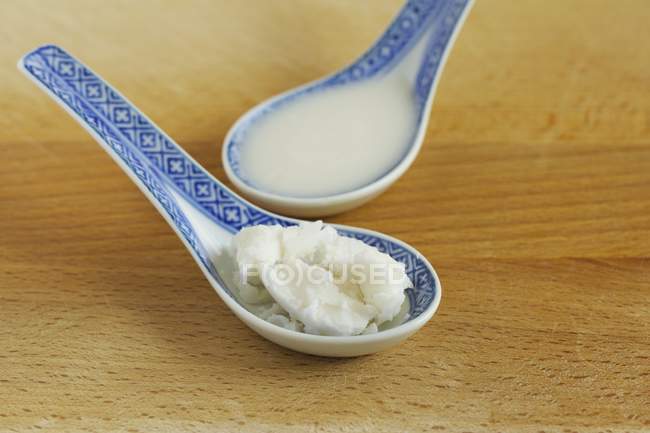 Vista de perto de gordura de coco e leite em colheres de cerâmica estampadas — Fotografia de Stock