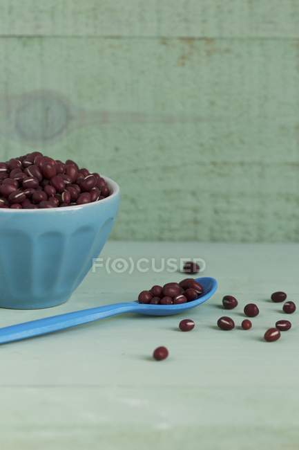 Dried Azuki beans — Stock Photo
