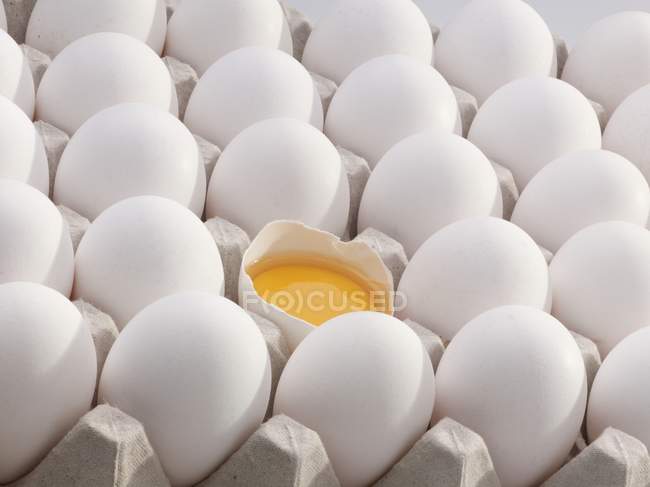 Fresh eggs in an egg tray — Stock Photo