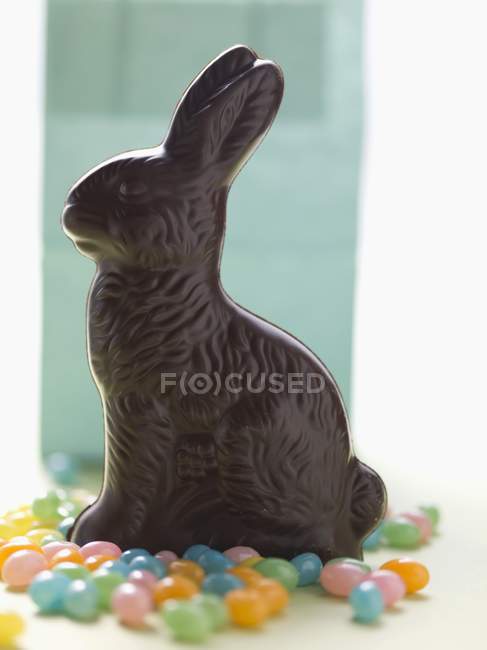 Lapin de Pâques chocolat — Photo de stock