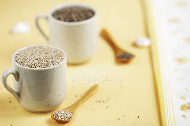 Closeup view of chia seeds in cup and on spoon — Stock Photo