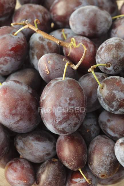 Fresh organic plums — Stock Photo
