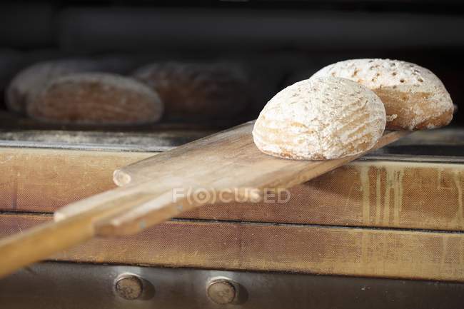 Removing bread loaves from oven — Stock Photo