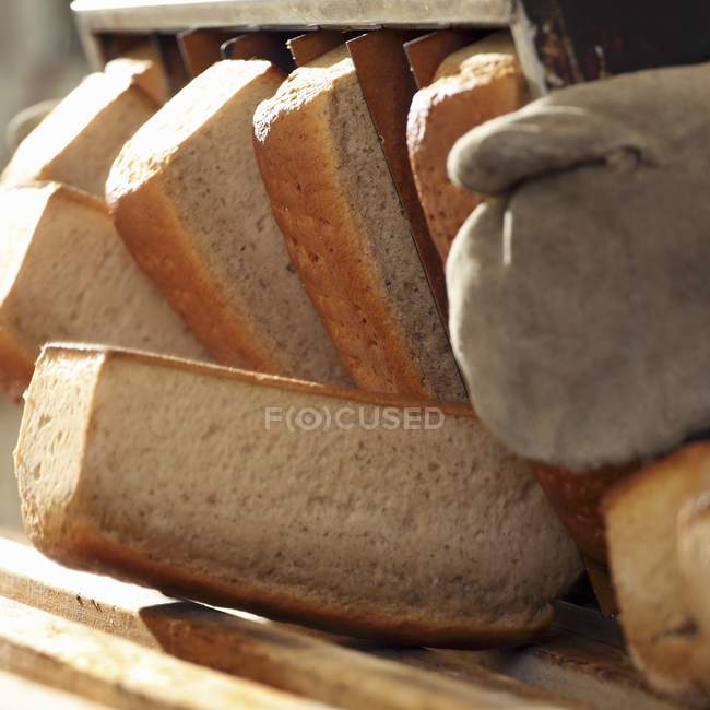 Pan de trigo y centeno rebanado - foto de stock