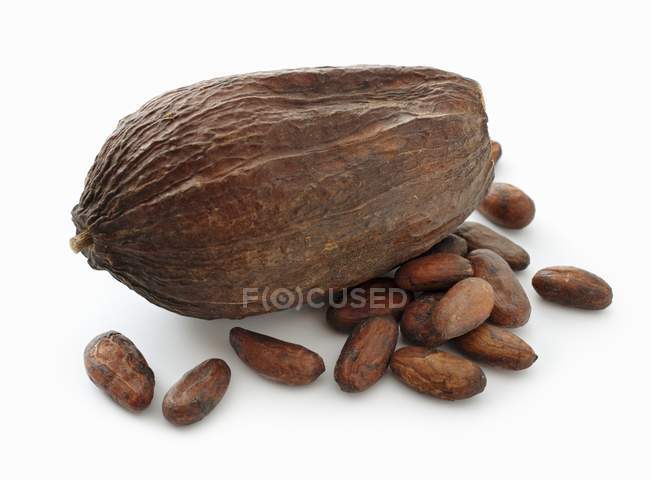 Какао-стручок і какао-боби — стокове фото