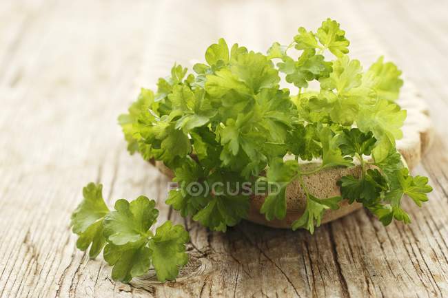 Parsley in stone bowl — Stock Photo