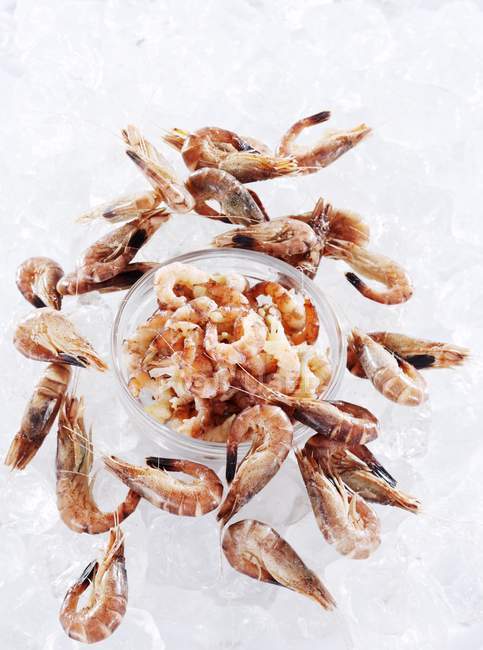 Crevettes pelées sur glace — Photo de stock