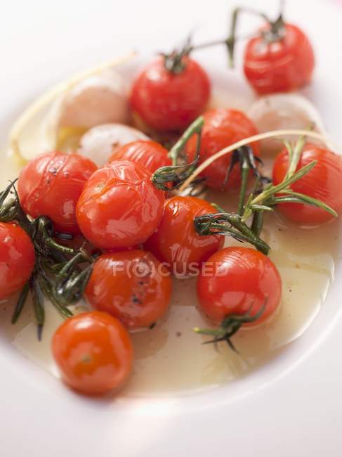 Tomato medley with mozzarella — Stock Photo