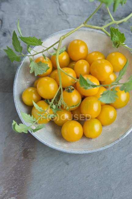 Gelbe Tomaten mit Blättern — Stockfoto