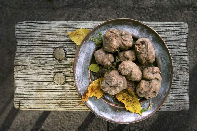 White truffles on rustic plate — Stock Photo
