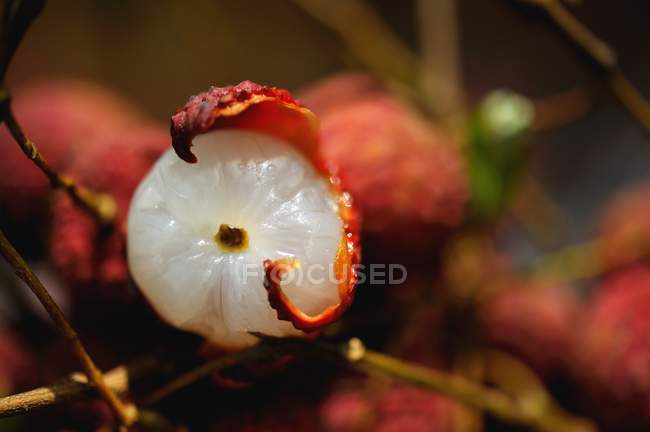 Fresh partly peeled Thai lychees — Stock Photo