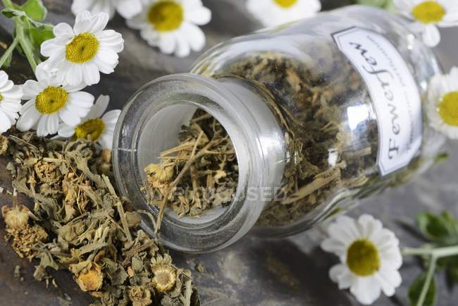 Closeup view of dried feverfew in an apothecary bottle — Stock Photo