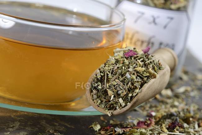Чашка травяного чая — стоковое фото