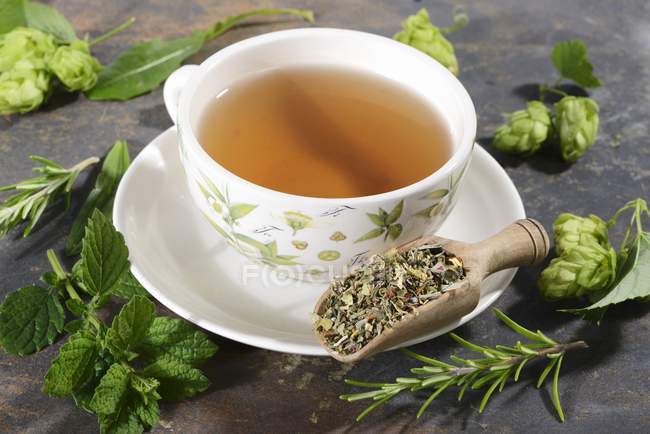 Чашка трав'яного чаю — стокове фото