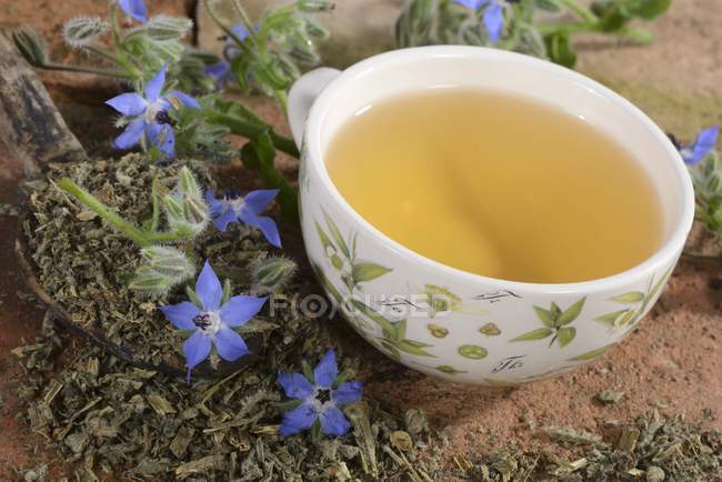 Borage tea and flowers — Stock Photo
