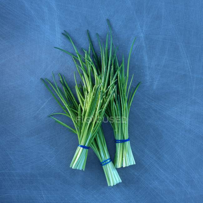Bunches of fresh chives — Stock Photo