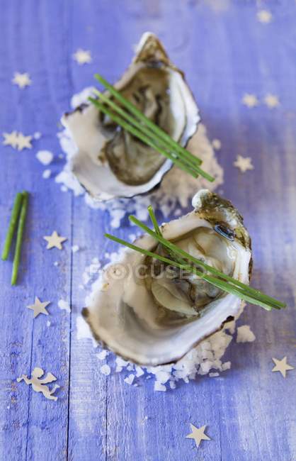 Austern gefüllt mit Gemüse — Stockfoto