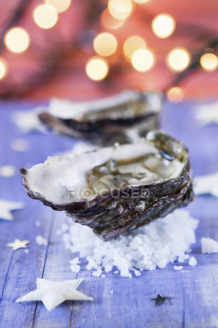 Austern gefüllt mit Gemüse — Stockfoto