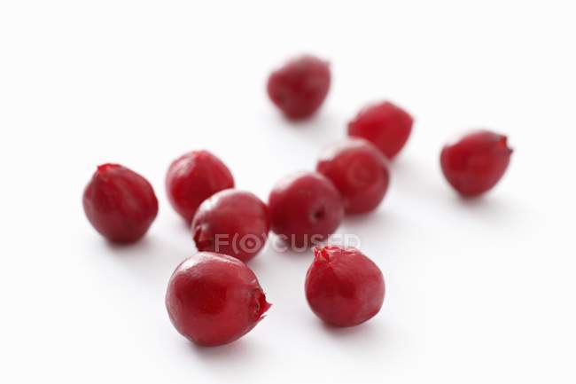 Fresh ripe Lingonberries — Stock Photo
